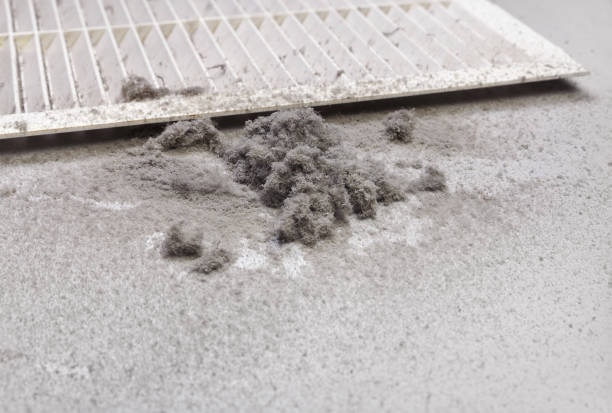 Best Affordable Duct Cleaning Services  in City View, SC